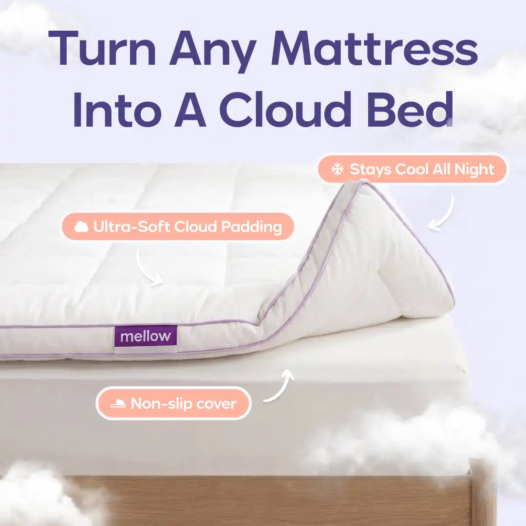 The Cloud Layer Main image